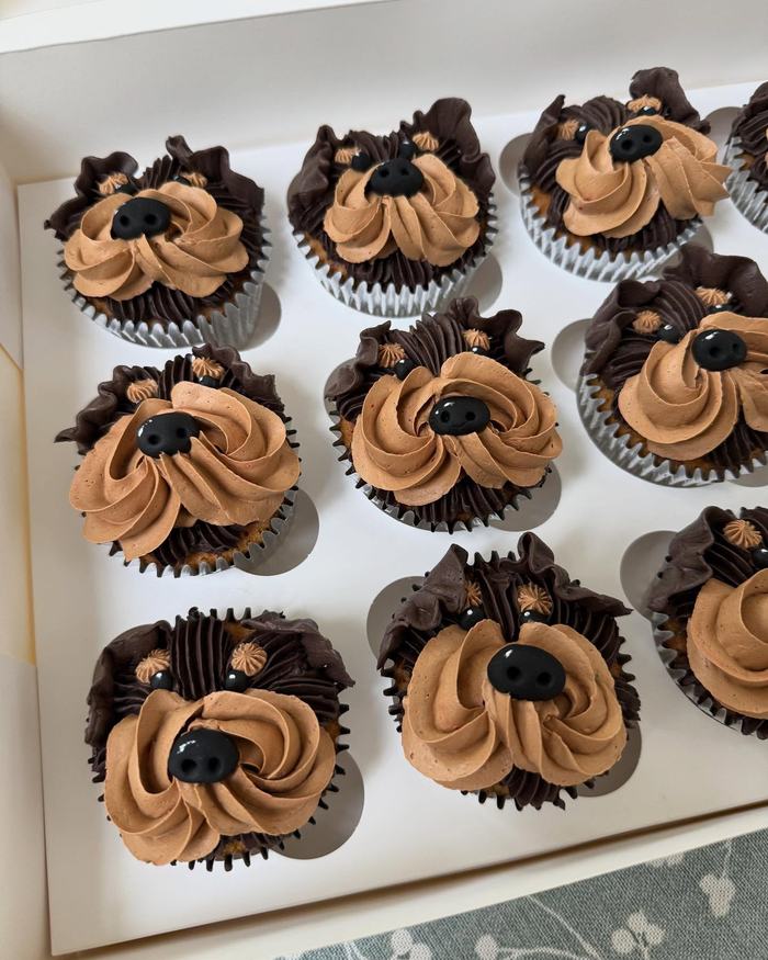 Chocolate Buttercream Cupcakes