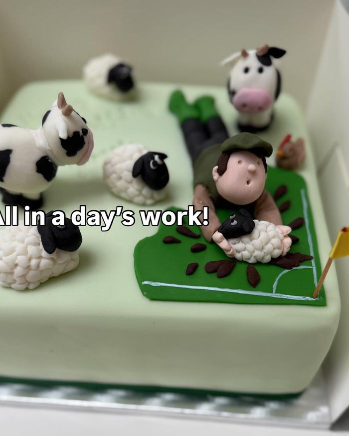 Sheepdog and Sheep Farm Cake