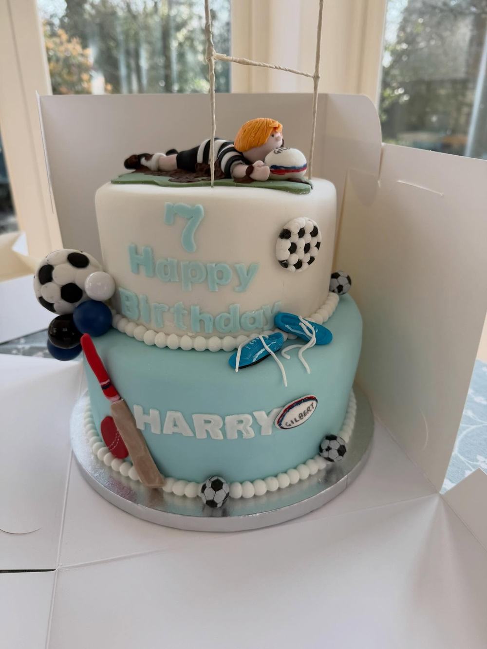 Sports Fan Two Tier