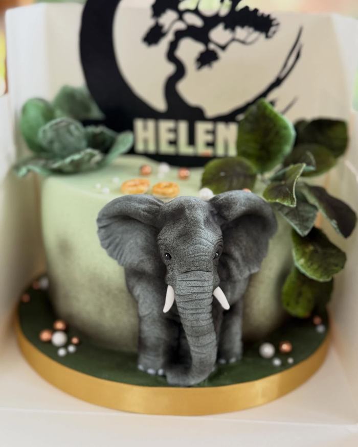 Elephant Birthday Cake