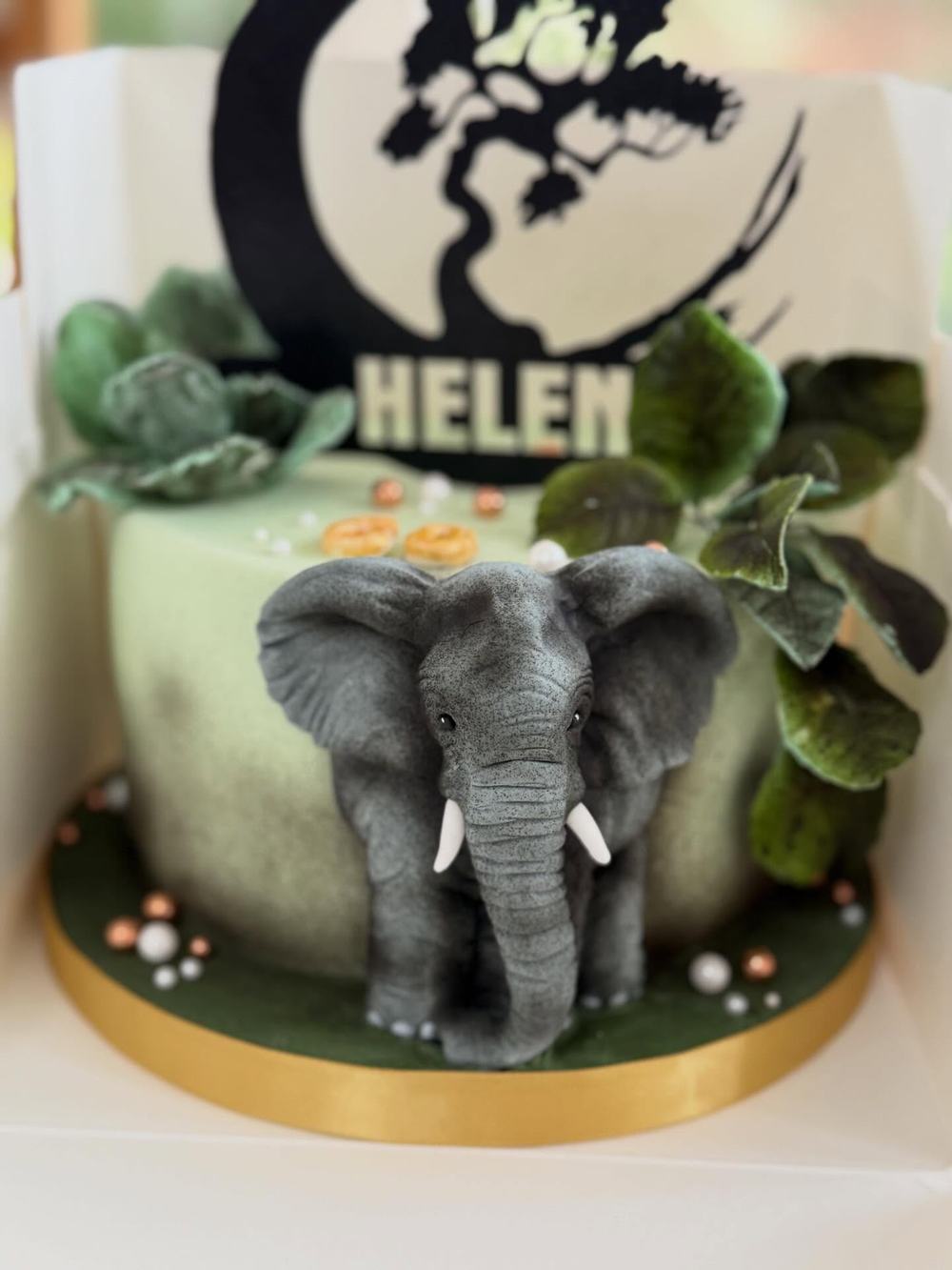 Elephant Birthday Cake