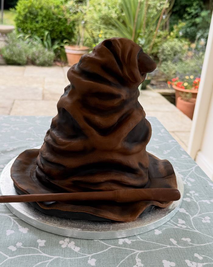 Wizard Sorting Hat Cake